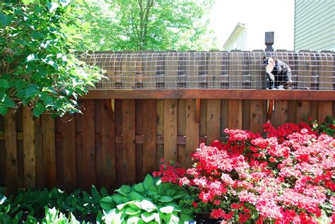 A wide variety of fence topper options are available to you, such as plastic type. Easy DIY Cat Enclosure - Cuckoo4Design