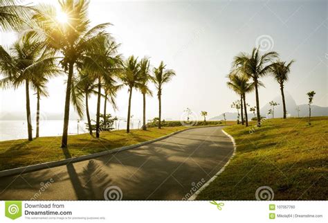 How i'm going to leave this country to go back to snowy pennsylvania in three days i can't even begin to fathom. Park Aterro Do Flamengo In Rio De Janeiro, Brazil Stock ...