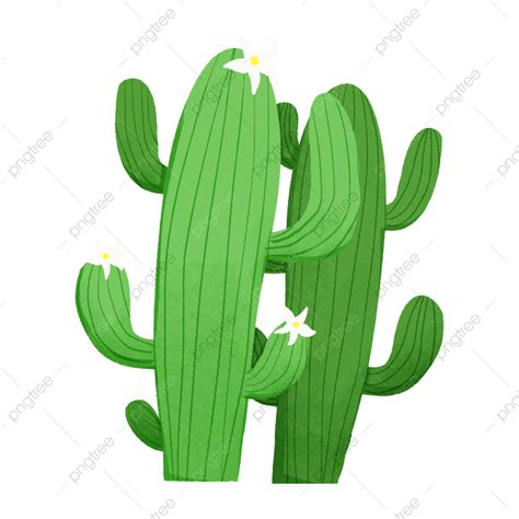 Green Cactus Png Transparent Cartoon Green Cactus Cactus Green