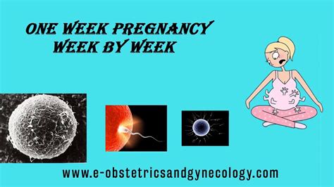1 Week Pregnant Pregnancy Symptoms Signs Ultrasound Belly And Baby
