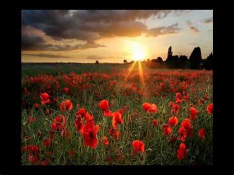 You get a great view and you can park there and see them. Fields of Flowers - YouTube