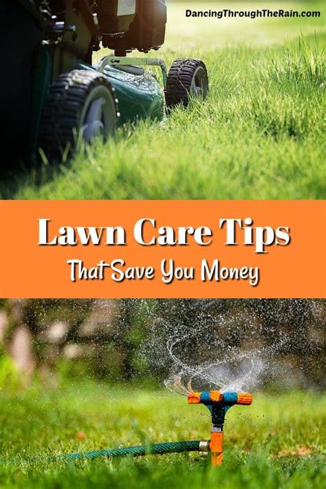 Mow grass 3 inches high. Lawn Care Tips To Help Save Money