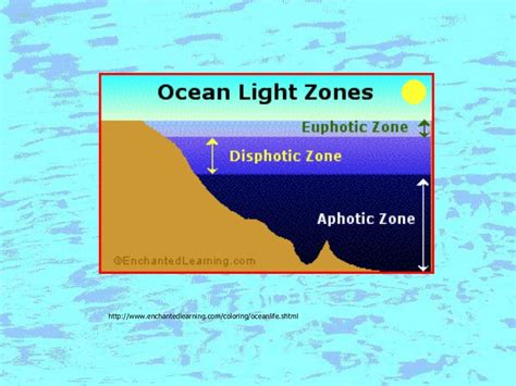 Ocean Notes A Comprehensive Study On Different Ocean Zones Includin