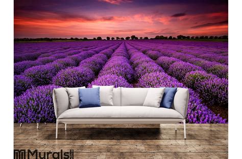 Lavender Field At Sunset Wall Mural