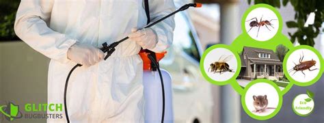 Bed bugs (figure 1) continue to be important household pests globally, driving a growing sector of the pest control industry. Glitch Bug Busters - Posts | Facebook