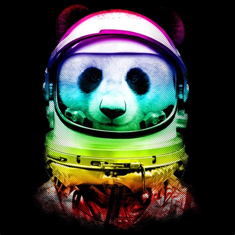 Space Panda By Design By Humans On Deviantart