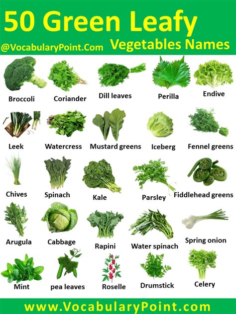50 Green Leafy Vegetables Names In English With Pictures Vocabulary