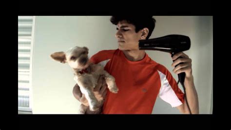 Sozinho em casa?! clique para ver o gif. COISAS PARA SE FAZER QUANDO ESTÁ SOZINHO EM CASA - YouTube