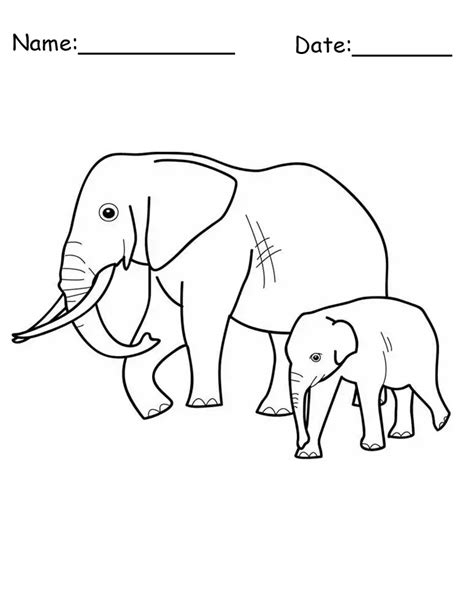 Two Elephants Animal Printable Coloring Pages