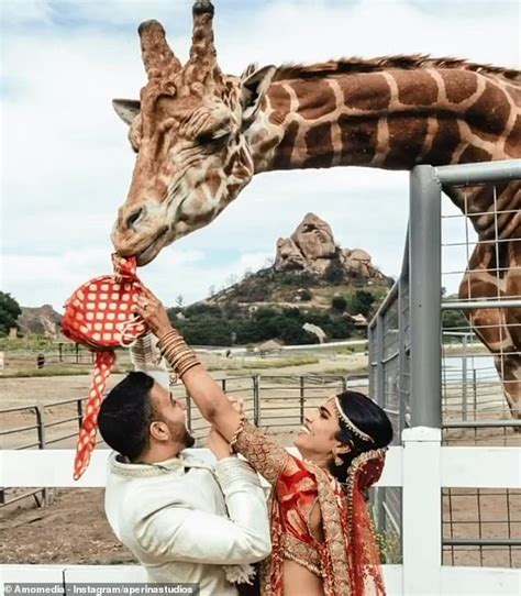 Hilarious Photos Capture Awkward Wedding Blunders Including A Groom