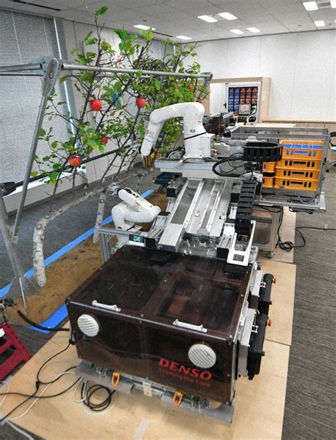 Fruit Harvesting Ai Robot Developed In Japan Amid Aging Population