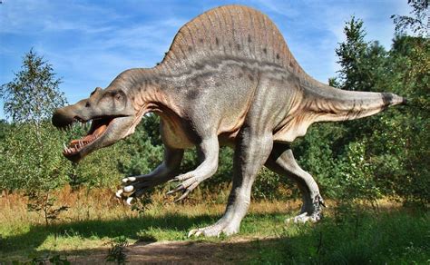 Hallan Nueva Especie De Dinosaurio Que Vivió Hace 110 Millones De Años