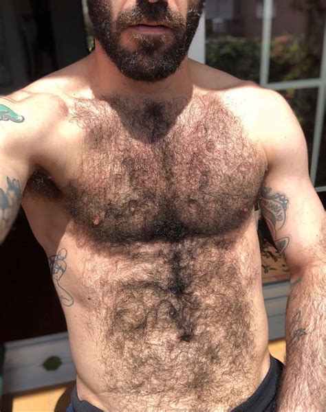 TW Pornstars 4 Pic FoolForHair Twitter June 21 Hairygrizzly
