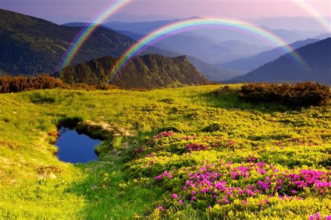 Double Rainbow Summer Landscape By Oleksandr Kotenko Flower Landscape
