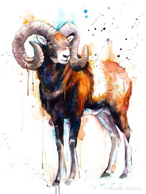 Mouflon Ram Watercolor Painting Print By Slaveika Aladjova Goat