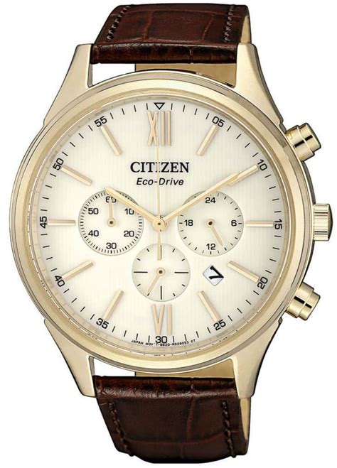 Citizen Eco Drive Chronograph Sapphire Men S Leather Watch Royal Tempus