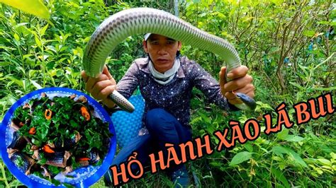 bỎ nghỀ bẪy rẮn thĂm chuyẾn cuỐi cÙng hÀng cỤ hỔ hÀnh xÀo lÁ bui youtube