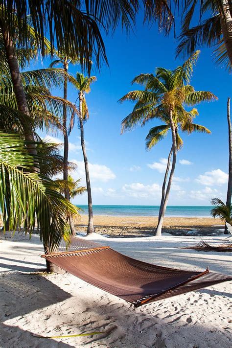 The Place Everyone In The Northeast Currently Wants To Go Islamorada