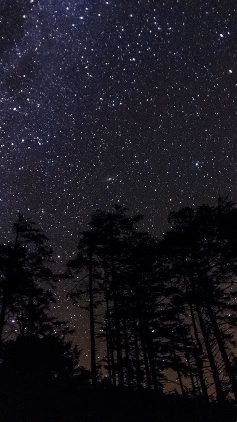 Download Wallpaper 1350x2400 Stars Constellations Starry Sky Night