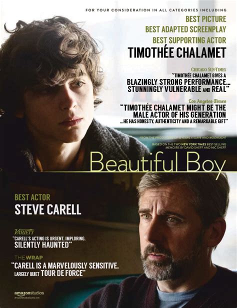 Рецензии на фильм Красивый мальчик Beautiful Boy 2019