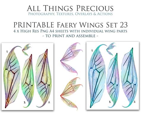Printable Fairy Wings Set 23 Scrapbooking Clipart Digital Wing Print