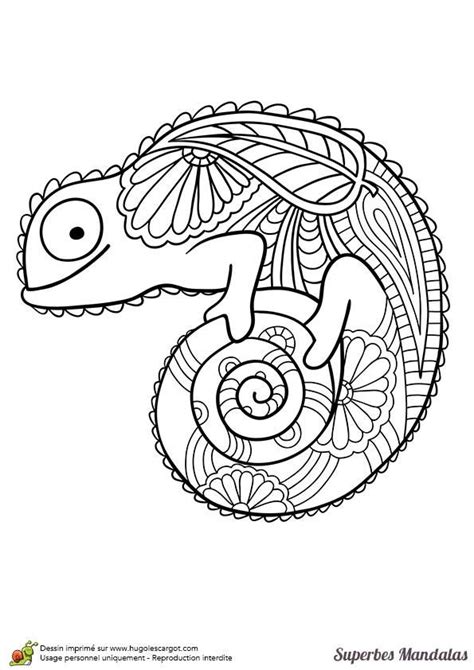 Mindfulness Coloring Animals Coloring Pages