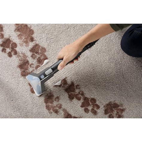Power Scrub Elite Pet Plus Carpet Cleaner Fh50252 Hoover