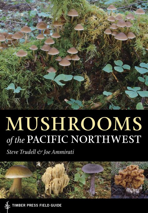 Mushrooms Of The Pacific Northwest Workman Publishing