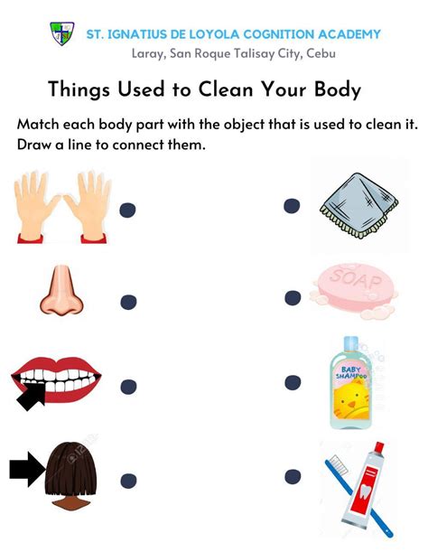 Things Used To Clean Your Body Worksheet Live Worksheets