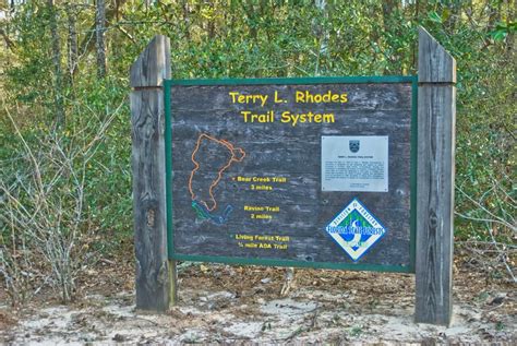 Lake Talquin State Forest Florida Hikes
