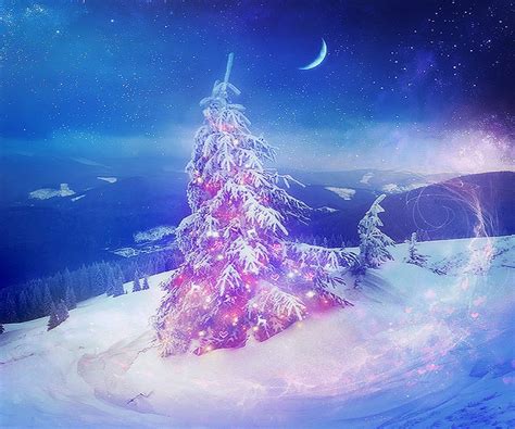 Christmas Tree On Top Of Mountain Image Abyss