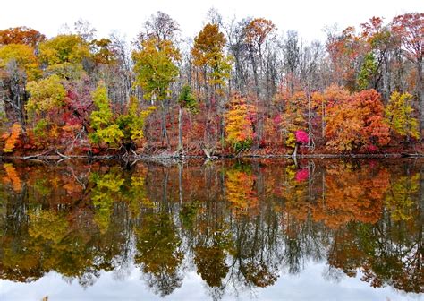 Wallkill Lake And Reflection Of Fall Foliage Wallkill New York 228