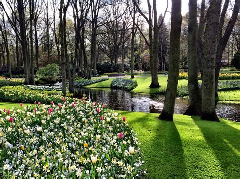 Maybe you would like to learn more about one of these? Keukenhof Gardens - THE SCENIC SUITCASE