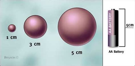 How many centimeters is 5 feet 10 inches? Image - Tumor Sizes