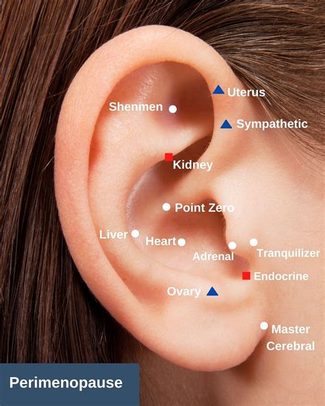 Ear Seeds Info — Three Tides Massage Acupuncture Naturopath Physiotherapy Homeopathy