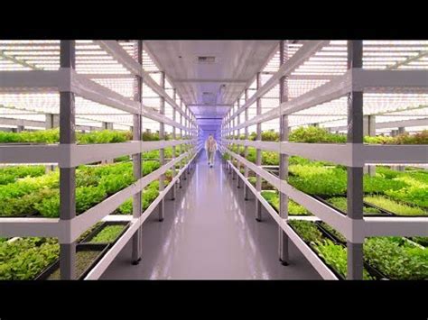Growing Up How Vertical Farming Works The B1M Branch Worldwide