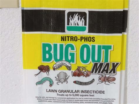 How To Kill Sod Webworms In Houston Lawns Pearland Sugar Land Katy