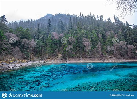 Beautiful Crystal Clear Water Lake View In Jiuzhaigou Stock Image