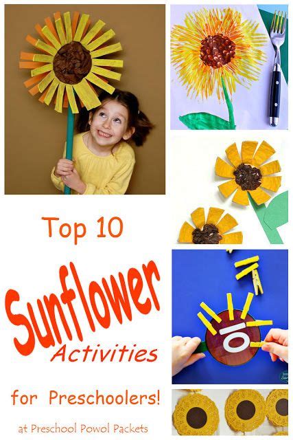 Top 10 Sunflower Activities For Preschool Fall Preschool Activities
