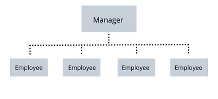 Flat Organizational Structure Hierarchy Examples Video Lesson Sexiz Pix