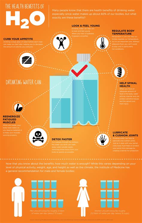 Benefits Of Drinking Water Infographic