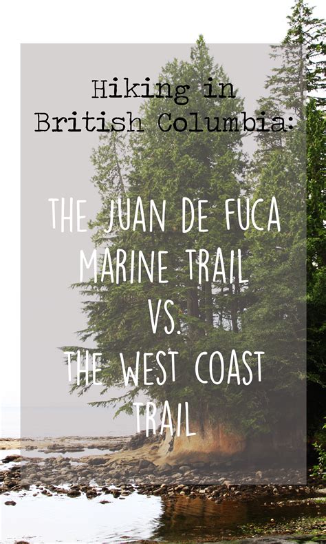Juan De Fuca Trail Vs West Coast Trail Which One Should You Take