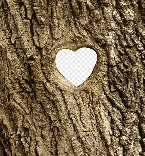 Tree Hole Effect Tree Lines Heart Shaped Hole Png Pngegg