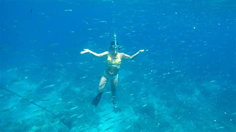 Ceningan Snorkeling Trip Nusa Ceningan Updated 2020 All You Need To