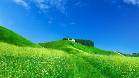 Green Grass Flowershills Treeschurch Android Wallpapers For Free