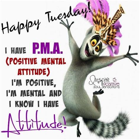 Happy Tuesday Quotes Hilarious Good Morning Tuesday Memes ShortQuotes Cc