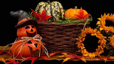 Halloween Pumpkin with Basket of Gourds, Autumn Leaves and Flower