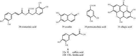 Pdf α Amylase Inhibitors A Review Of Raw Material And Isolated
