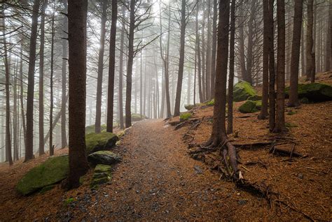 Appalachian Trail Landscape Photography In Western North Carolina