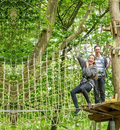 Vouchers For Go Ape Junior Or Nets At Blackwood Park Fun Outdoor